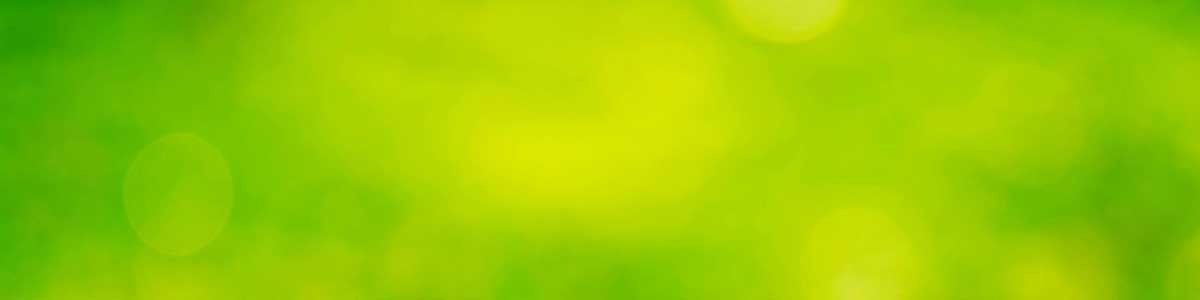 Green background header 2509a