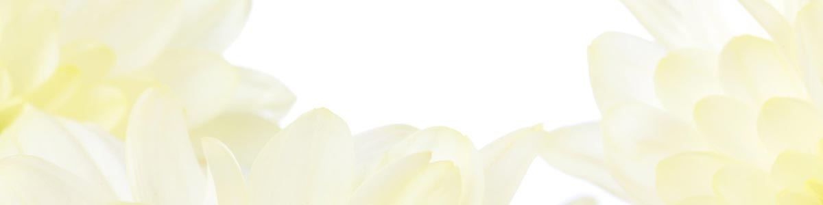 Dahlia-background-header-2217a