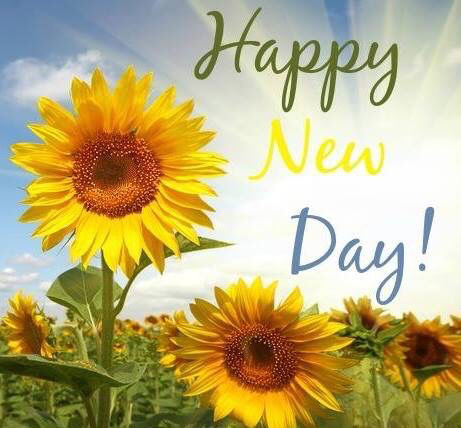 208214 Happy New Day