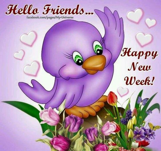 269048 Hello Friends Happy New Week