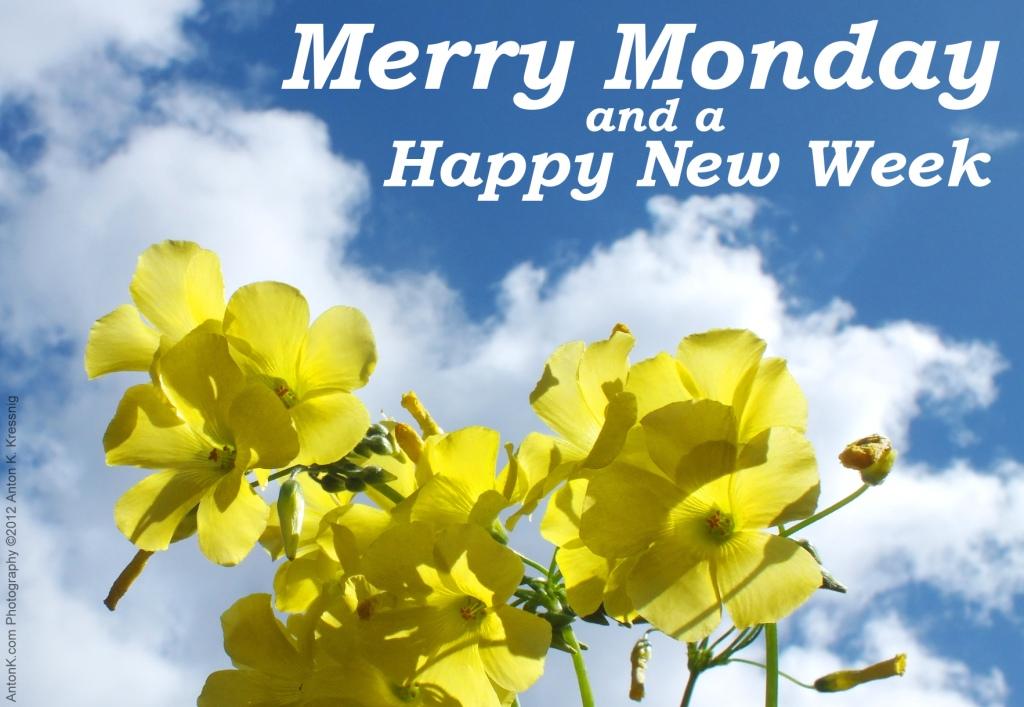 Merry-Monday-Happy-New-Week-greeting-yellow-flowers-blue-sky-clouds-photo-by-Anton-K