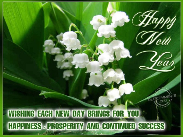 happy-new-year-wishing-each-new-day-brings-for-you-happiness-prosperity-and-continued-success