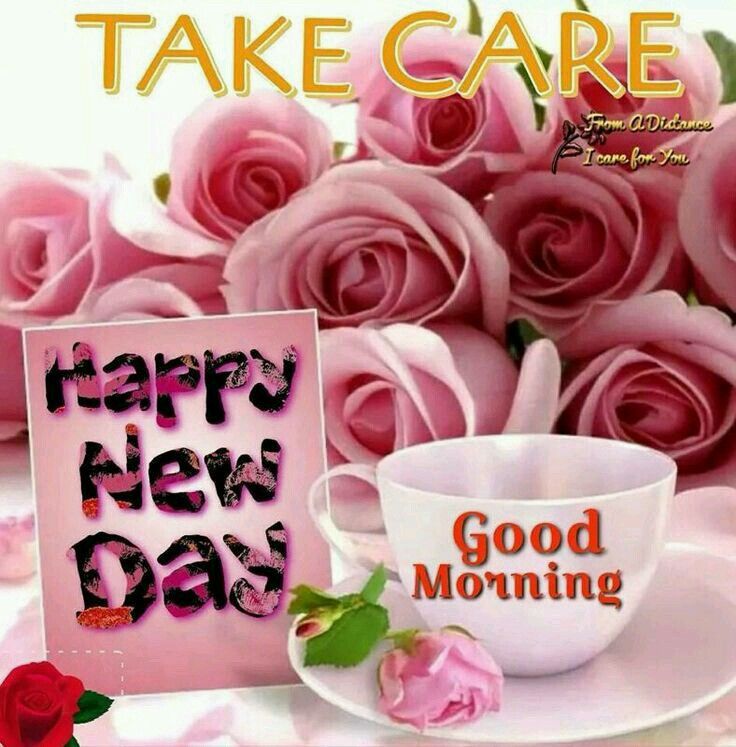 4755a3ee9a95dbf854835ecdfc51178c--good-morning-greetings-happy-morning
