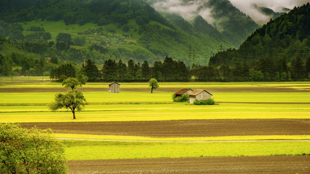 landscape-meadow-field-mountains-66874